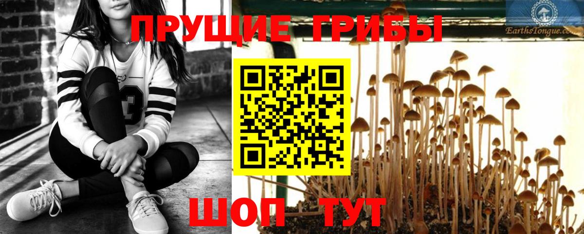 наркота  Псилоцибиновые грибы мухоморы  Вход с VPN  Хасавюрт 